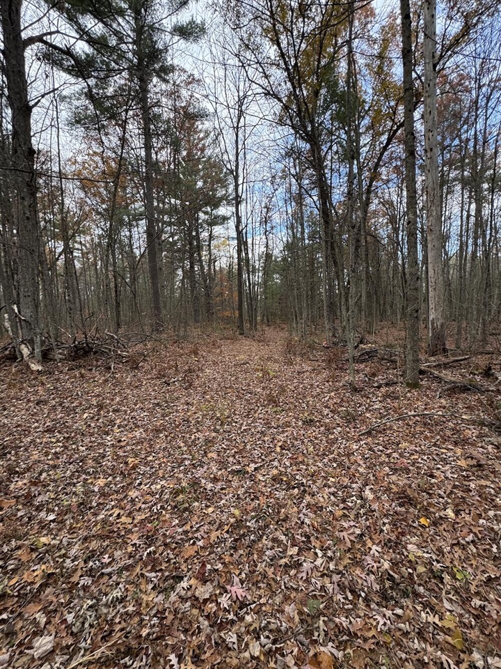 4335 Kings Corner Road Property Photo 46