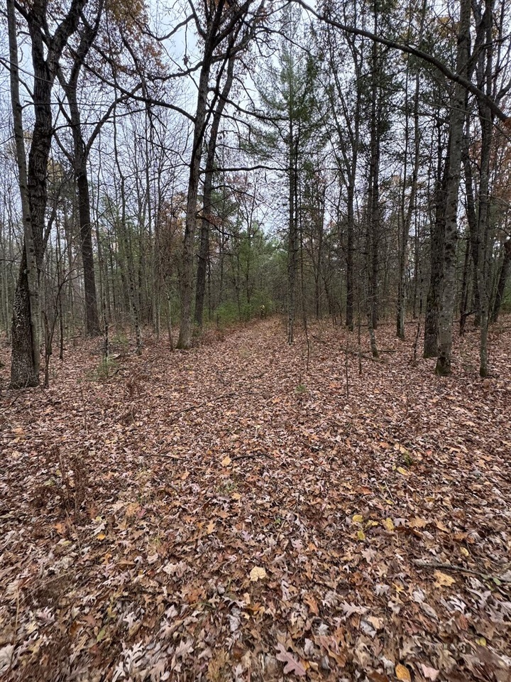4335 Kings Corner Road Property Photo 47