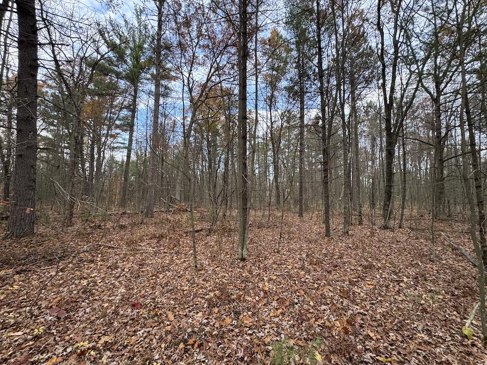 4335 Kings Corner Road Property Photo 49