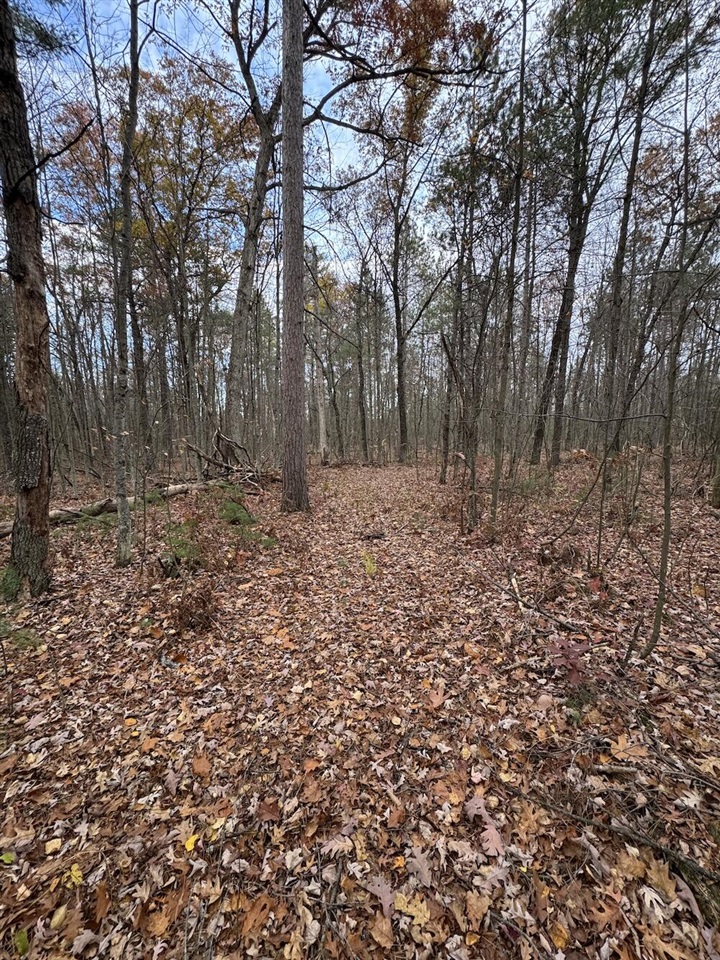4335 Kings Corner Road Property Photo 50
