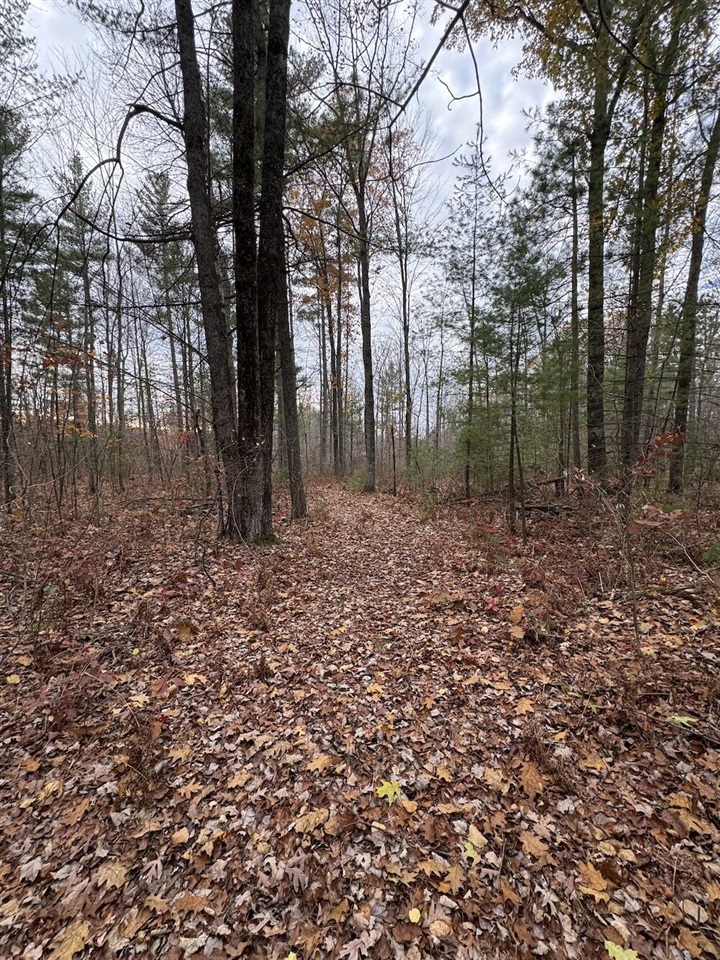 4335 Kings Corner Road Property Photo 51