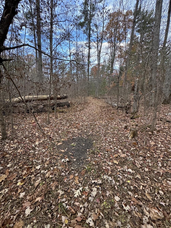 4335 Kings Corner Road Property Photo 57