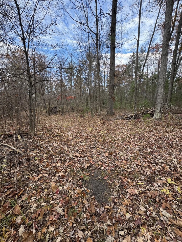 4335 Kings Corner Road Property Photo 58