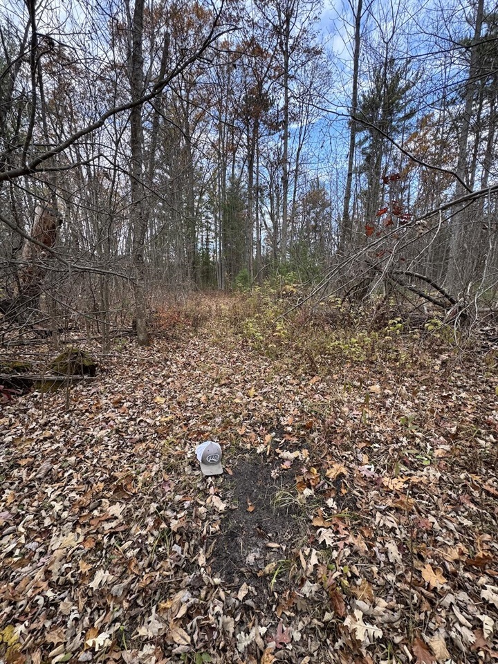 4335 Kings Corner Road Property Photo 59