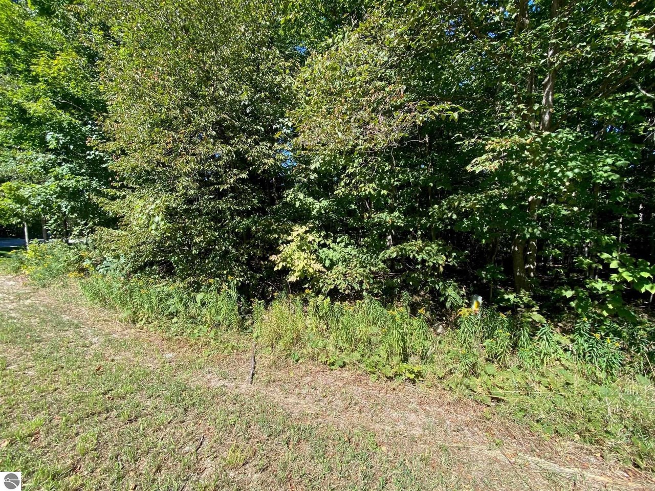 Lot 130 E Sugar Maple Drive Property Photo 1