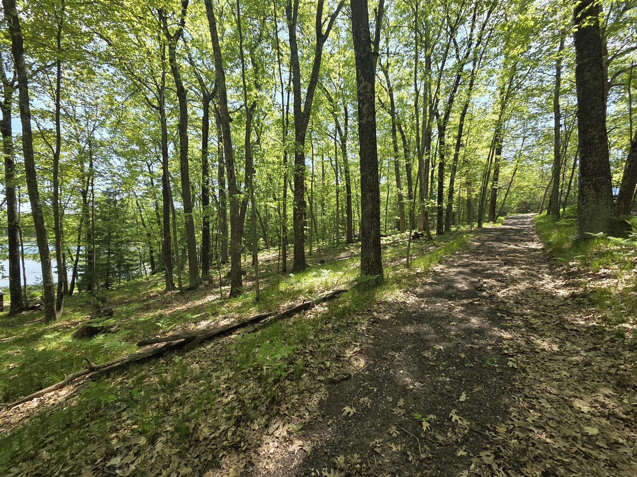 9312-9334 W Ox Path Street Property Photo 2