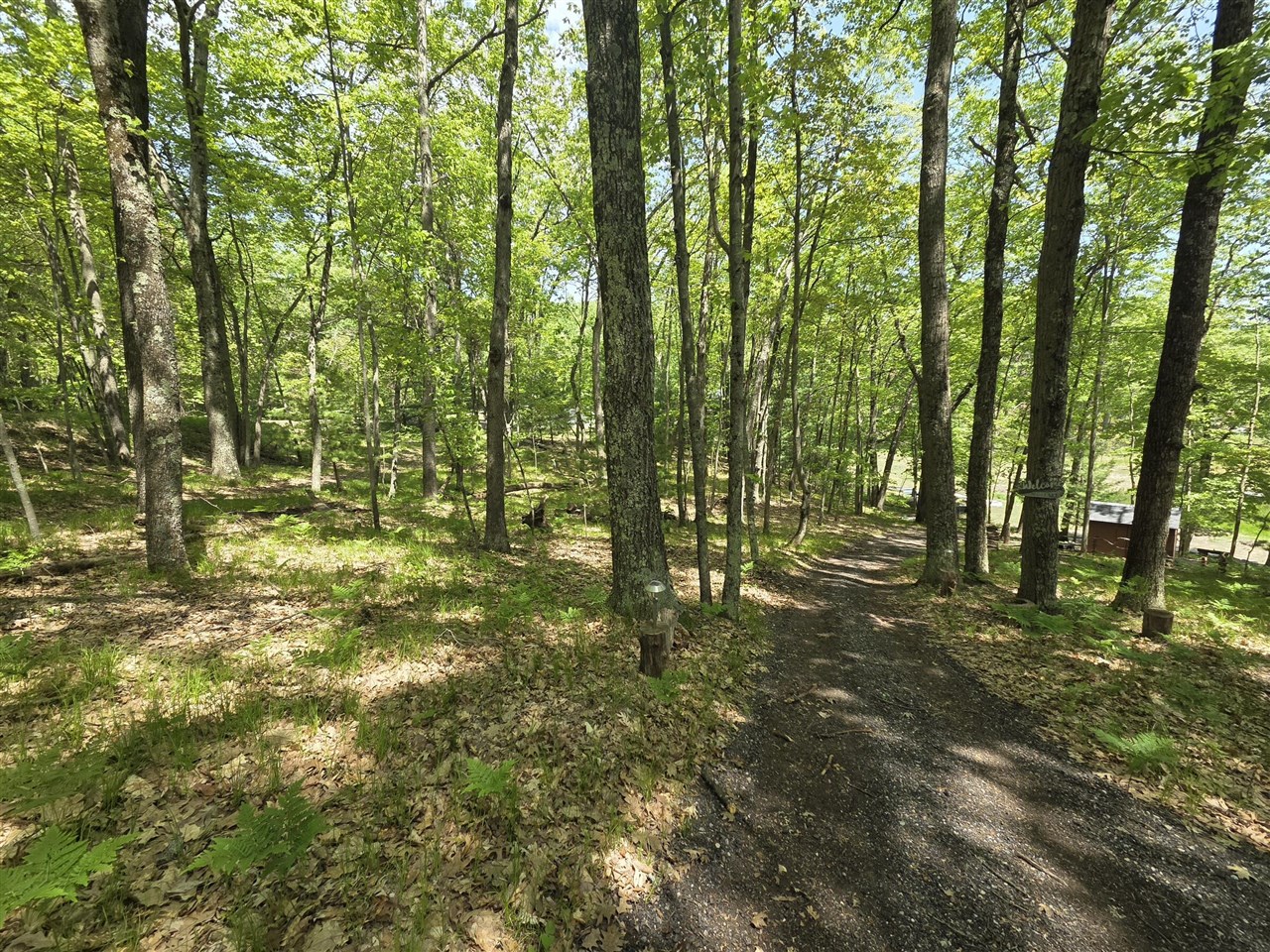 9312-9334 W Ox Path Street Property Photo 3