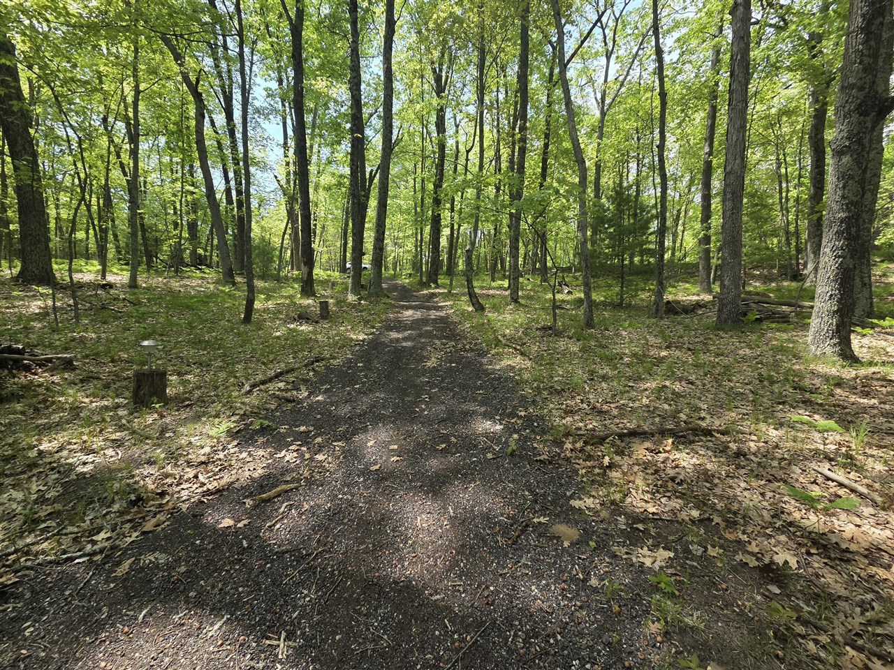 9312-9334 W Ox Path Street Property Photo 6