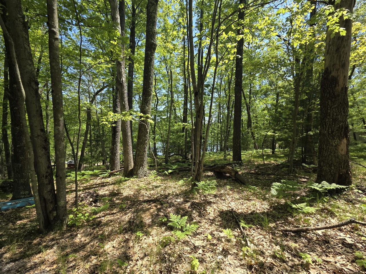 9312-9334 W Ox Path Street Property Photo 27