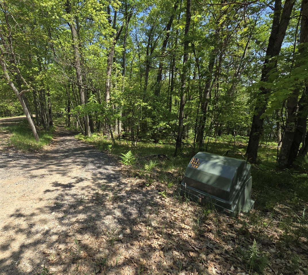 9312-9334 W Ox Path Street Property Photo 28