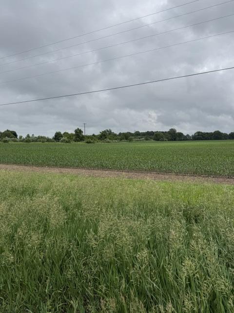 V/l Satterlee Road Property Photo 1