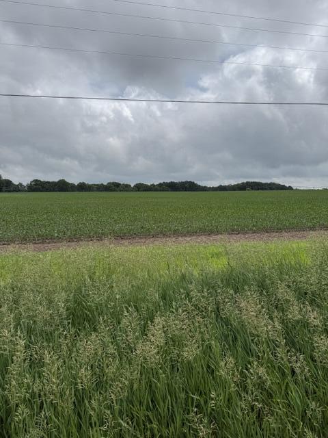 V/l Satterlee Road Property Photo 3