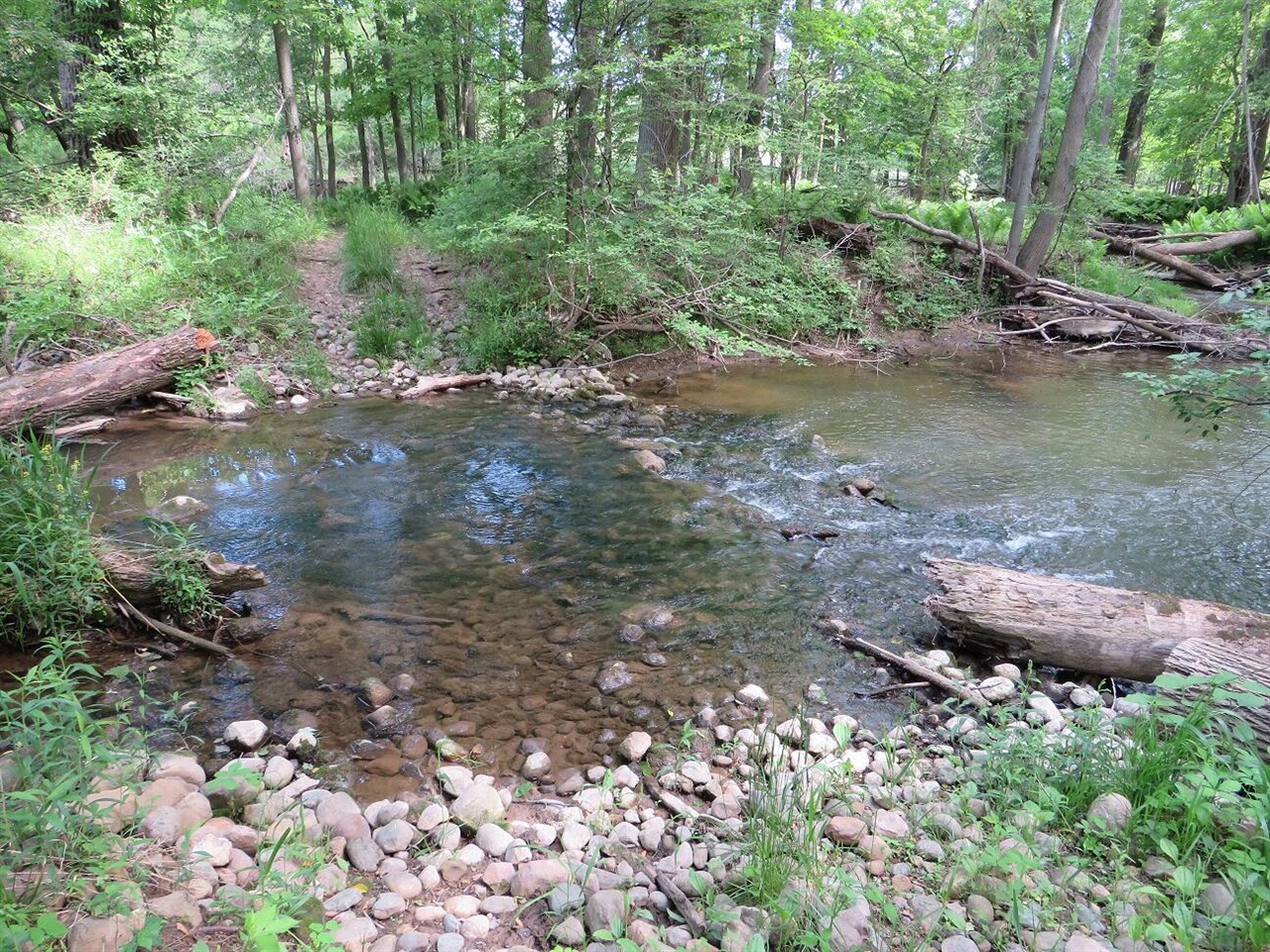 4670(b) Rescue Road Property Photo 52