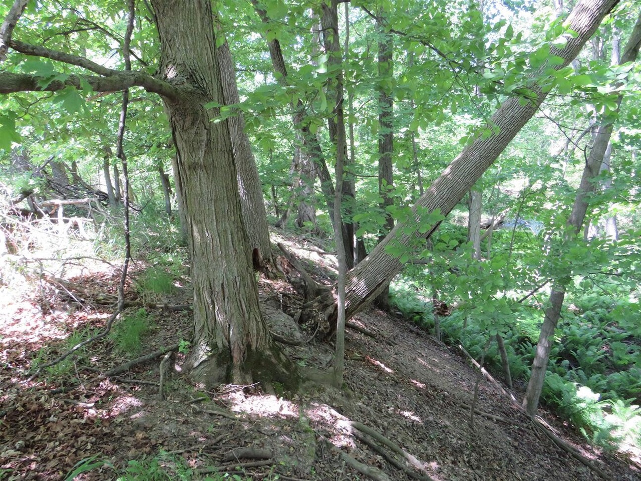 4670(b) Rescue Road Property Photo 61