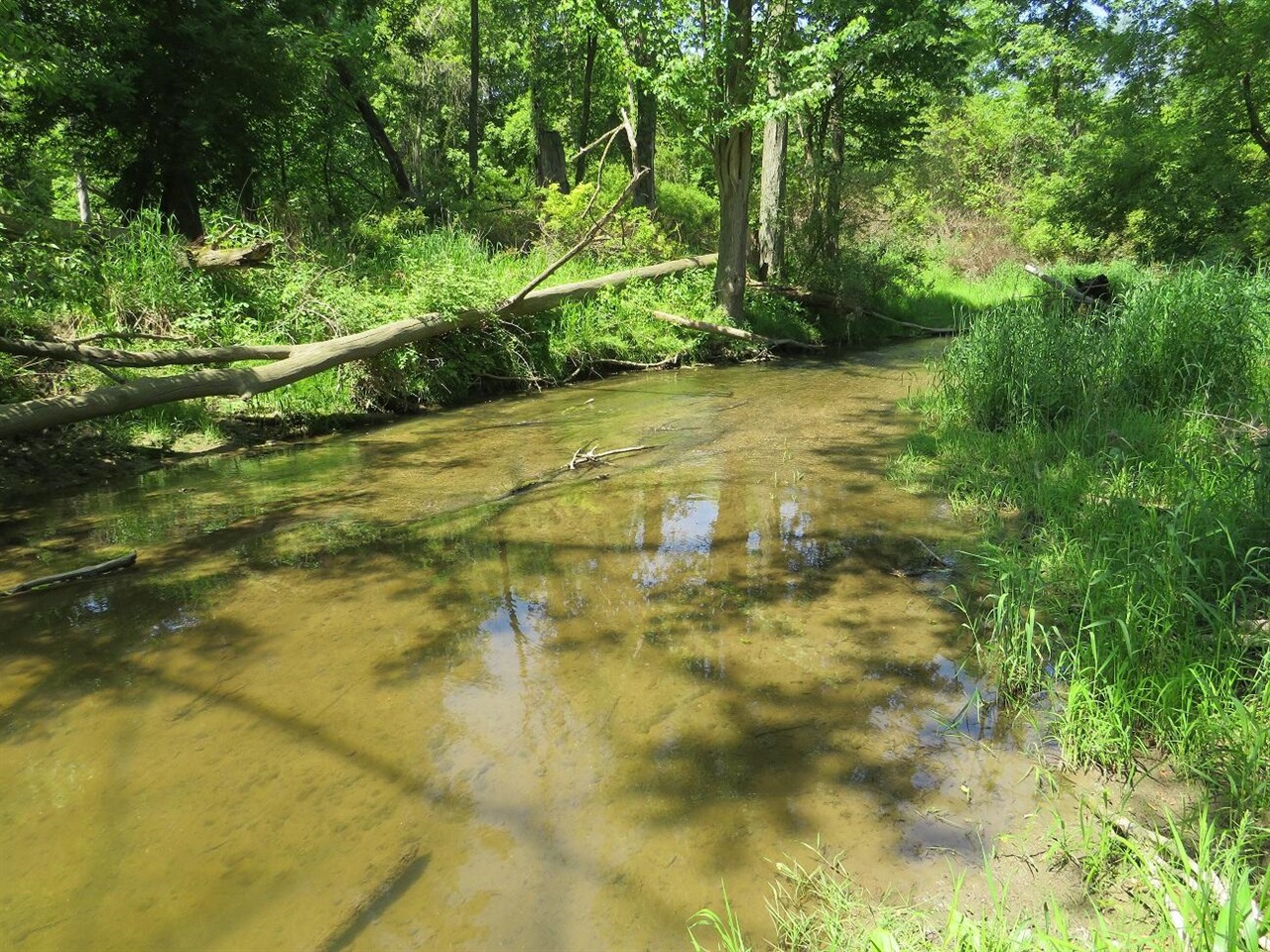 4670(b) Rescue Road Property Photo 66