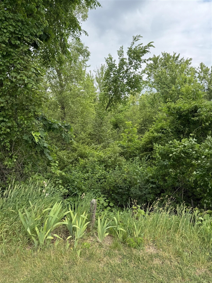 818 Raisin River Road Property Photo 25