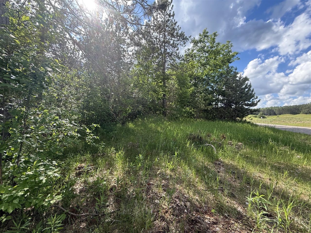 V/l Bear Paw Trail Property Photo 1