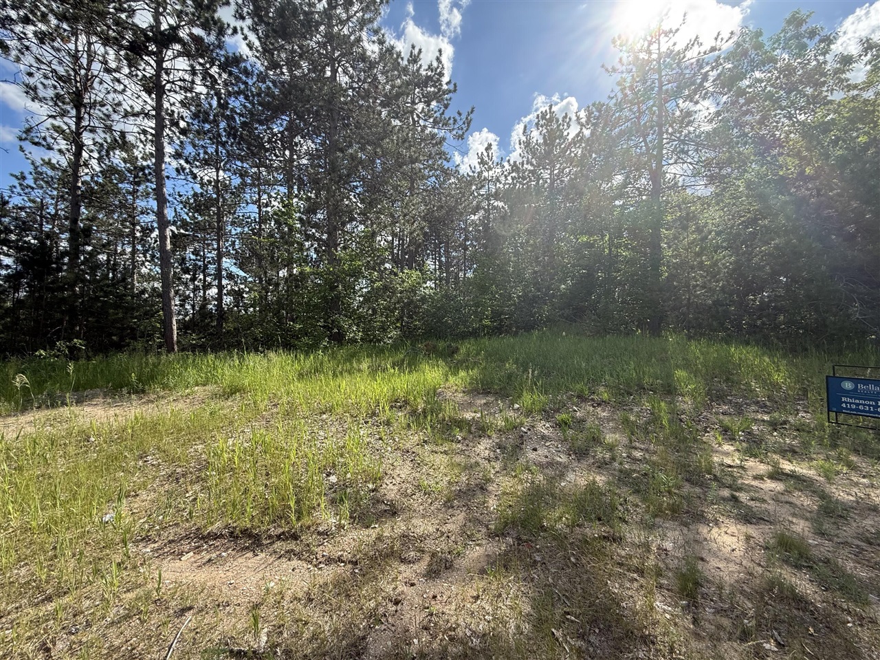 V/l Bear Paw Trail Property Photo 3