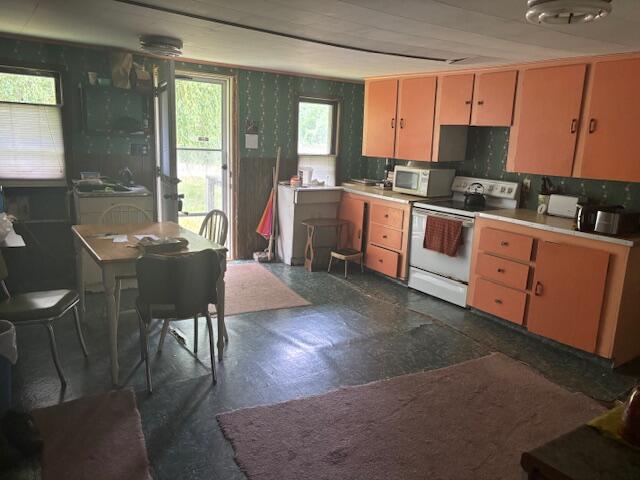 4779 3rd Street Property Photo 17