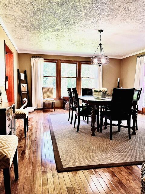 18610 M 86 Property Photo 47