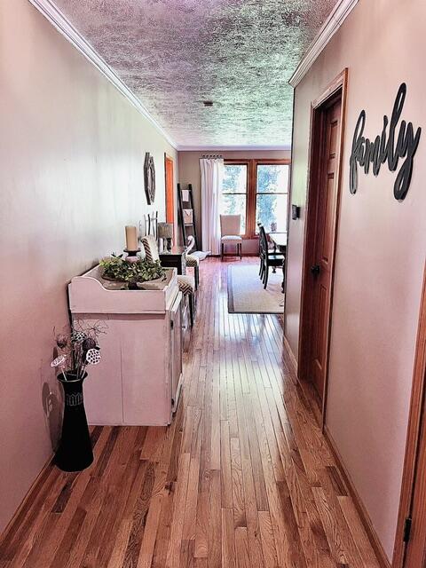 18610 M 86 Property Photo 49