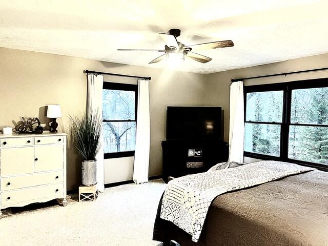 18610 M 86 Property Photo 77
