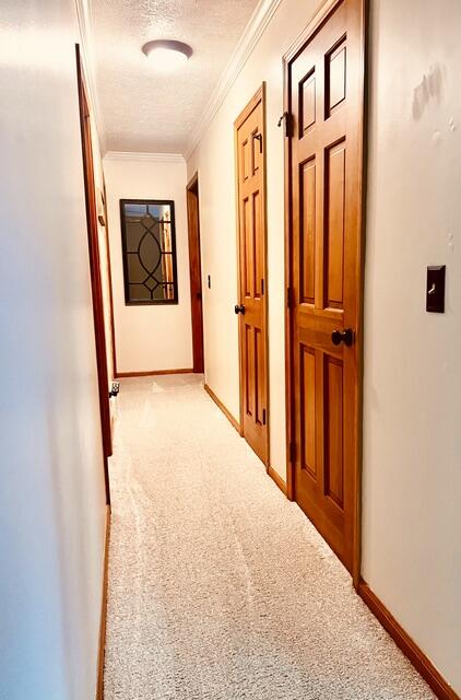 18610 M 86 Property Photo 89