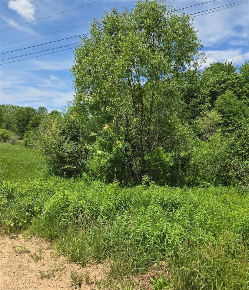 475 Tyler Road Property Photo 15