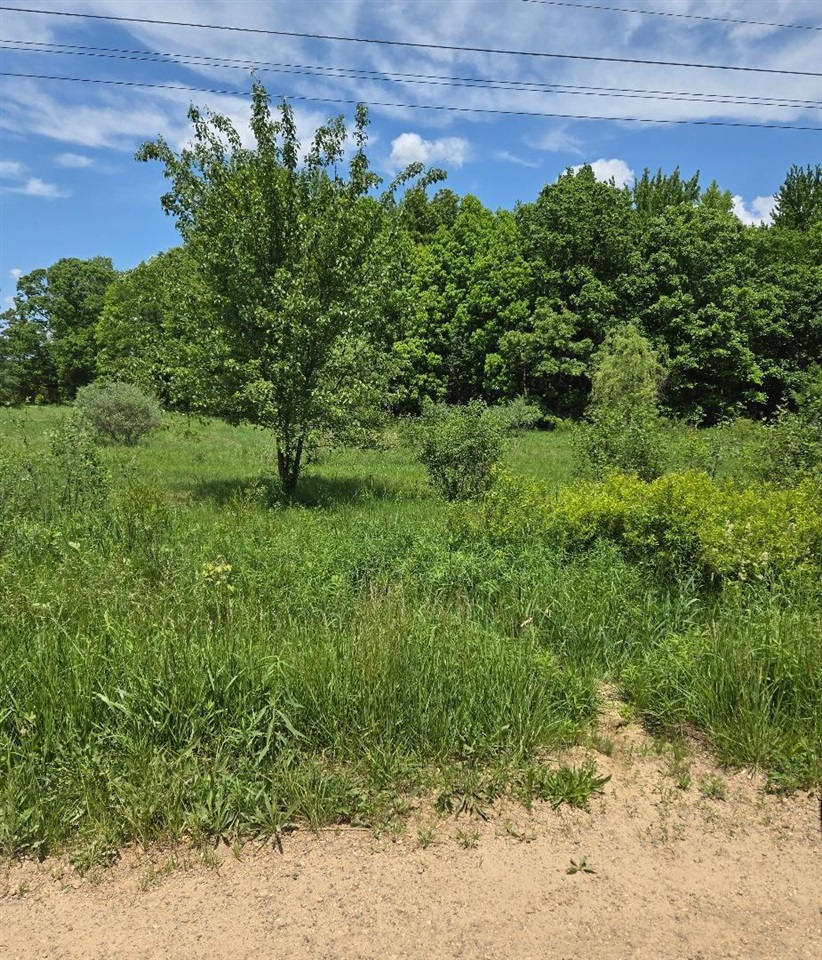 475 Tyler Road Property Photo 16