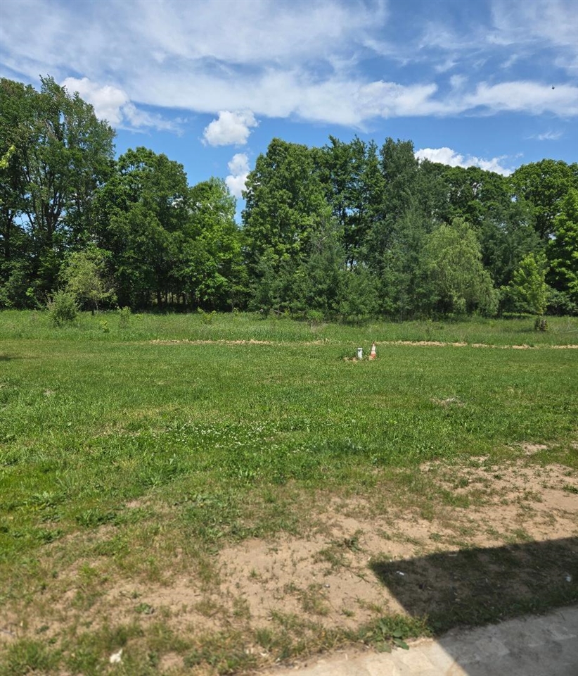 475 Tyler Road Property Photo 19