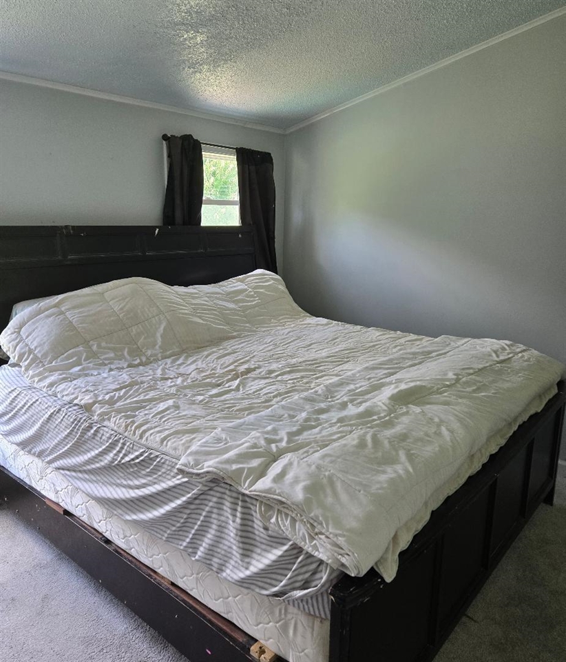 475 Tyler Road Property Photo 24