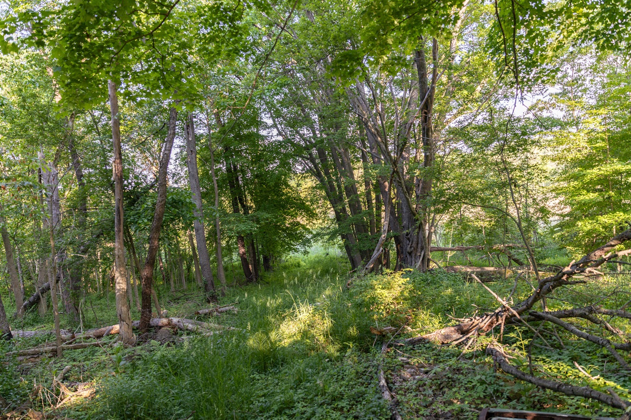 0 28 Mile Rd Road Property Photo 9