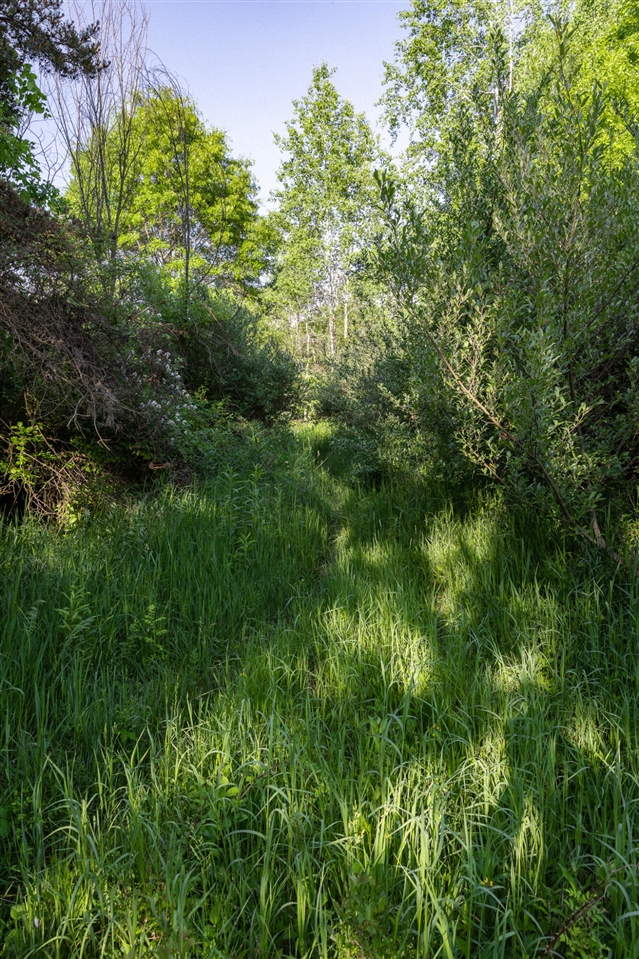 0 28 Mile Rd Road Property Photo 36
