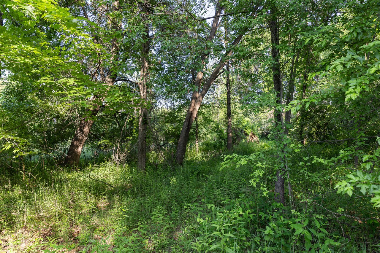 0 28 Mile Rd Road Property Photo 39