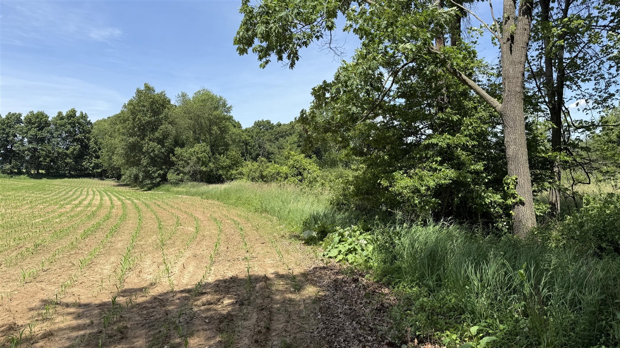 28 Mile Road Property Photo 8