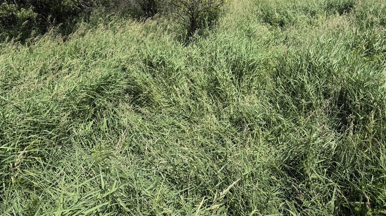28 Mile Road Property Photo 9