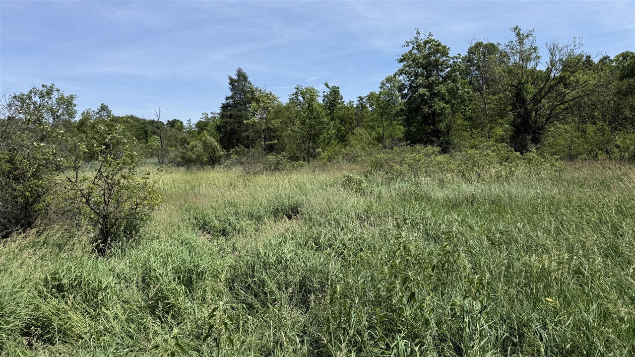 28 Mile Road Property Photo 10