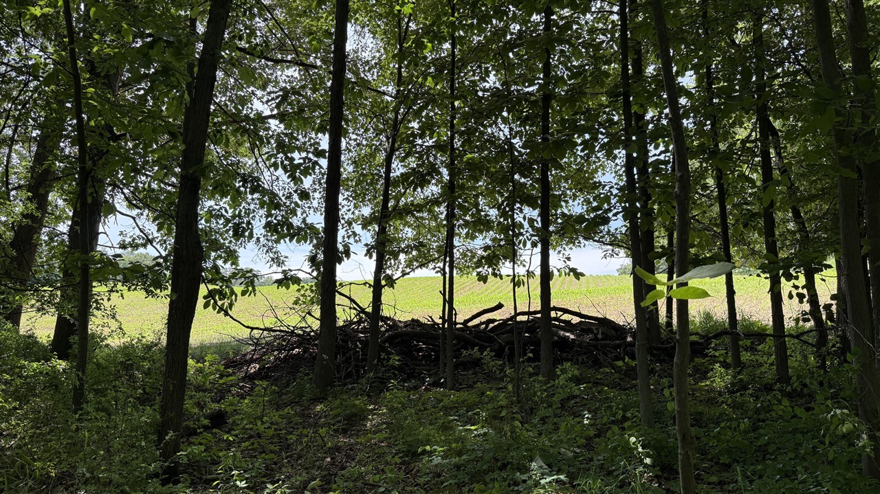28 Mile Road Property Photo 11
