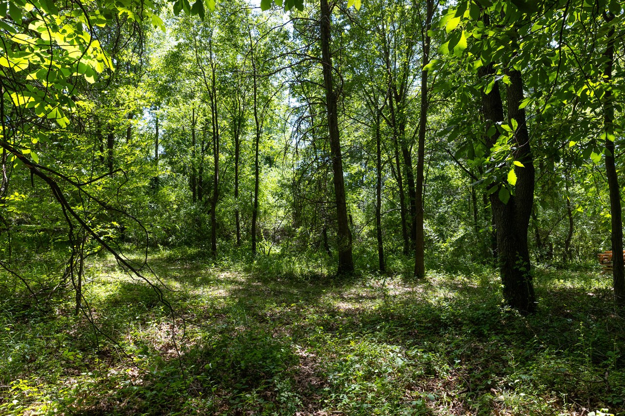 28 Mile Road Property Photo 14