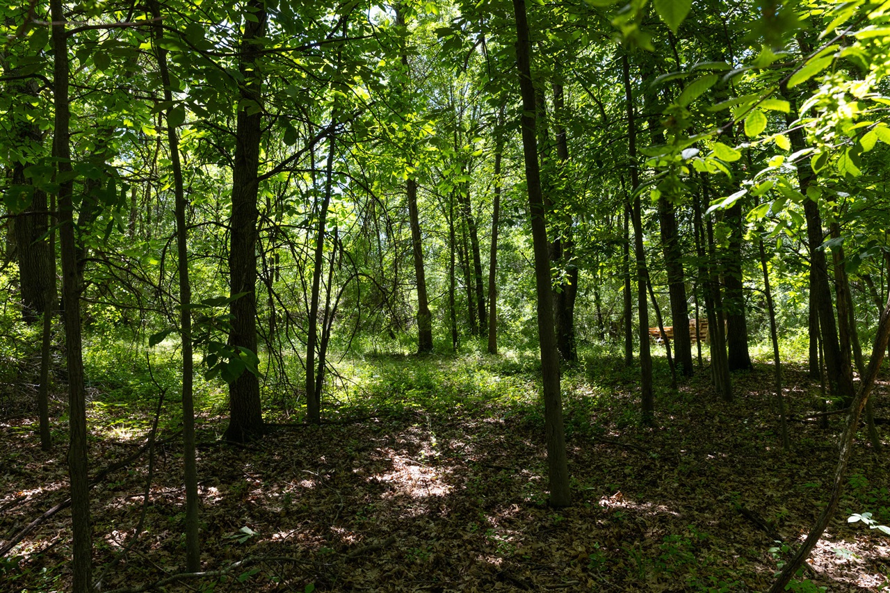 28 Mile Road Property Photo 15