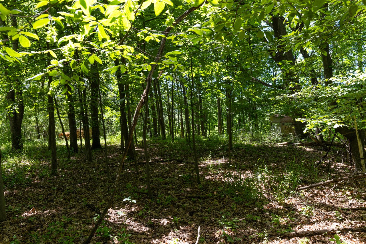 28 Mile Road Property Photo 16