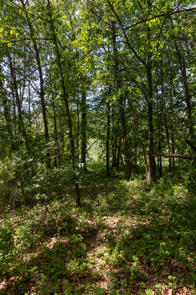 28 Mile Road Property Photo 19