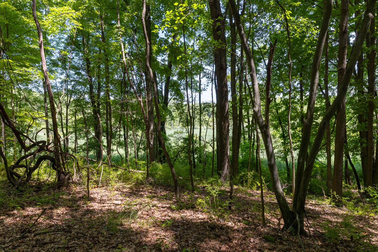 28 Mile Road Property Photo 22