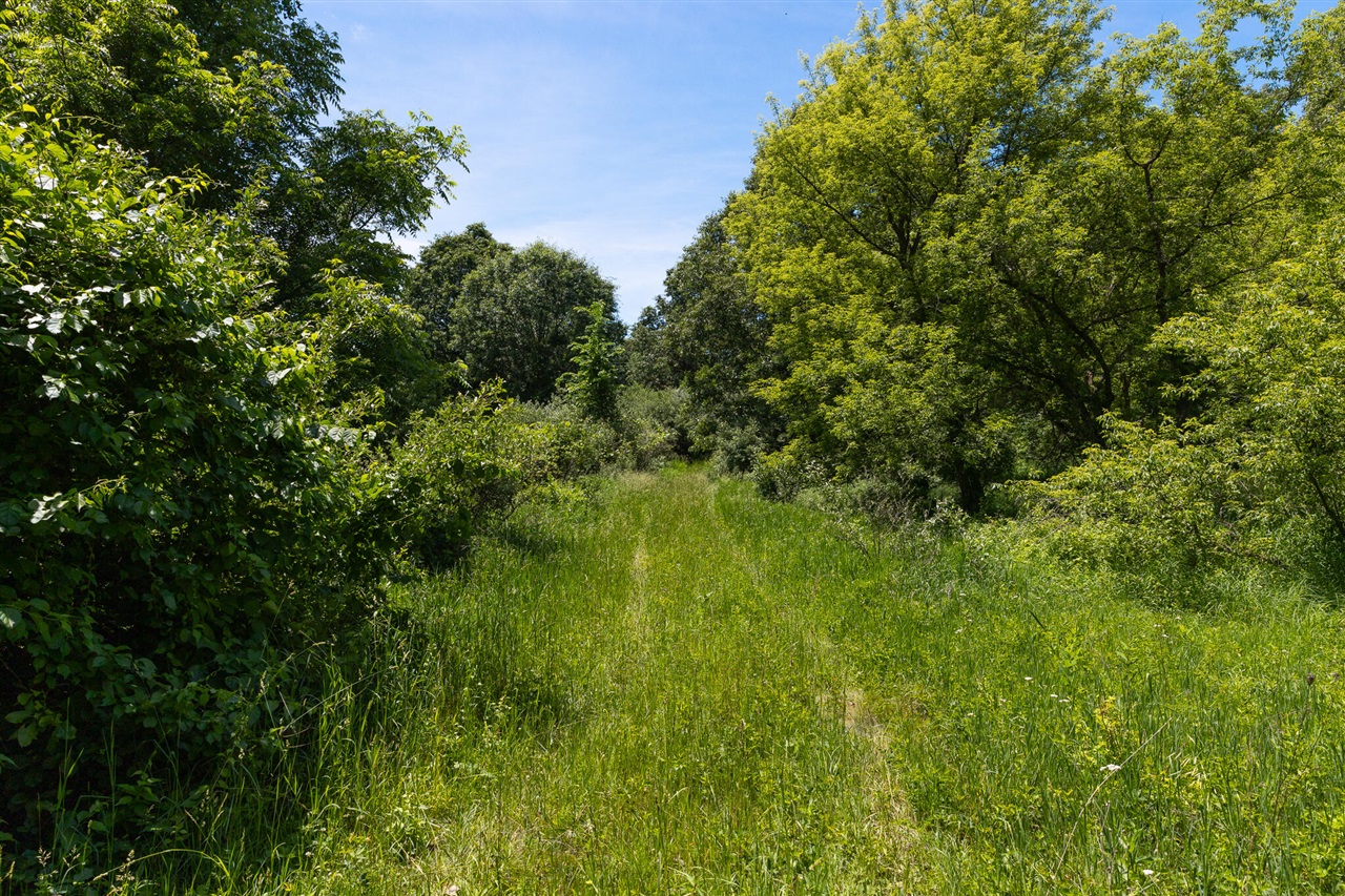 28 Mile Road Property Photo 28