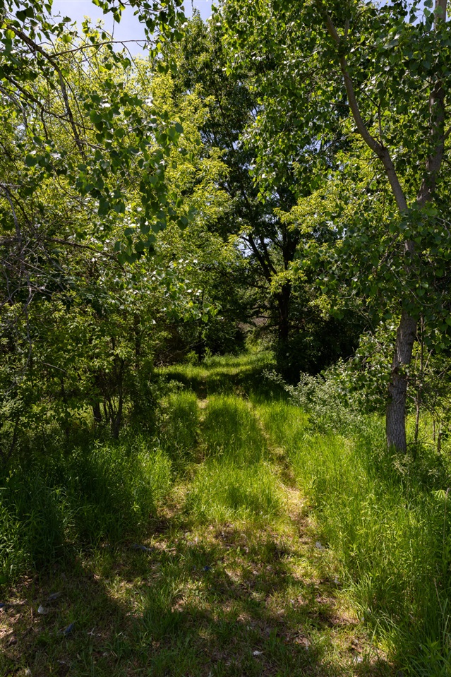 28 Mile Road Property Photo 29