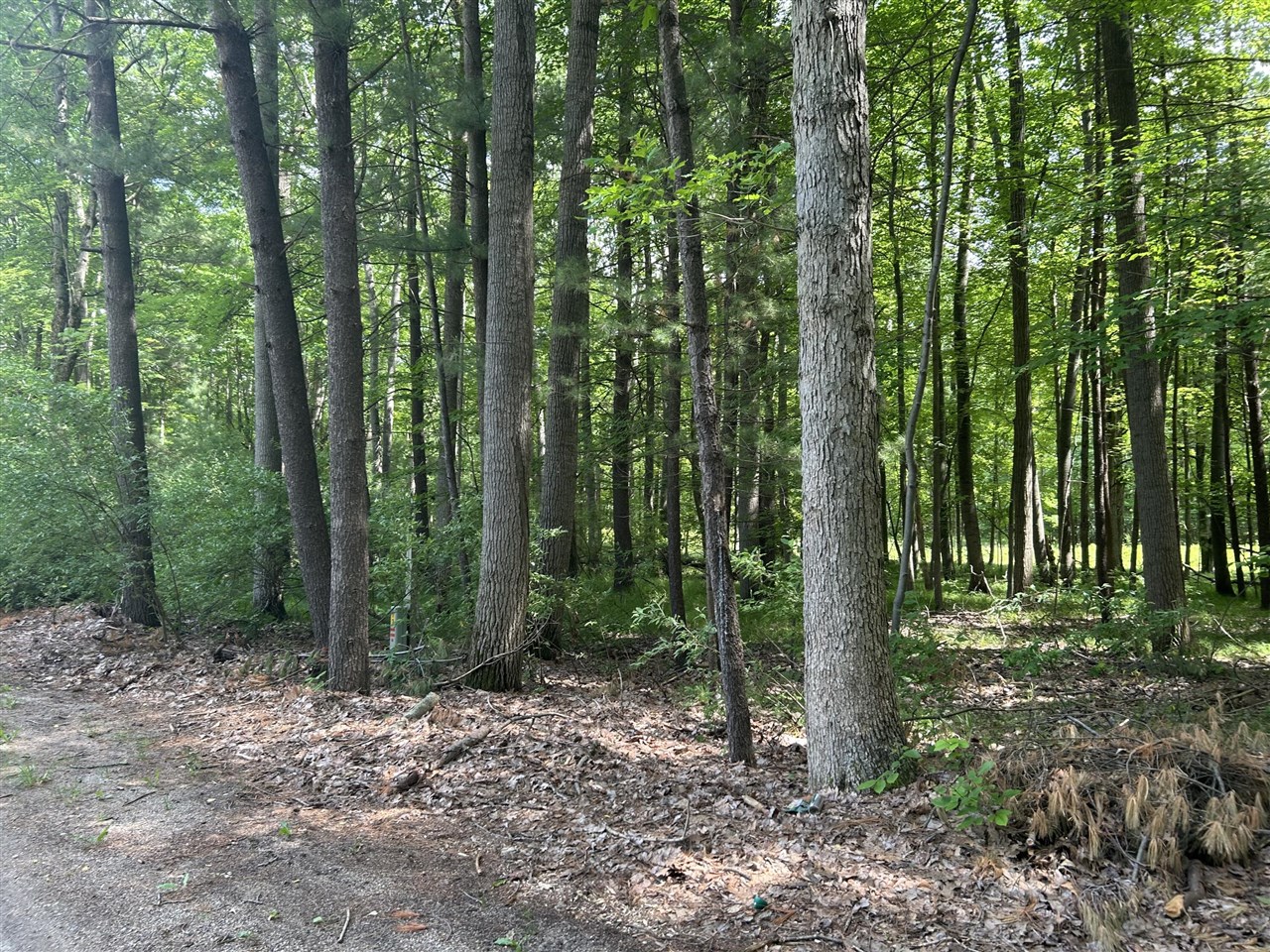 11409 Heather Lane Property Photo 1