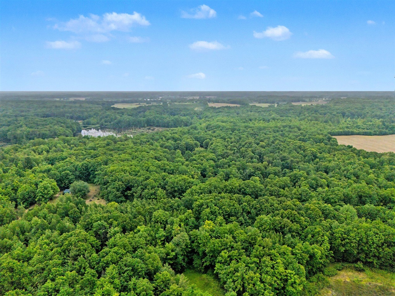4791 E Fox Road Property Photo 34