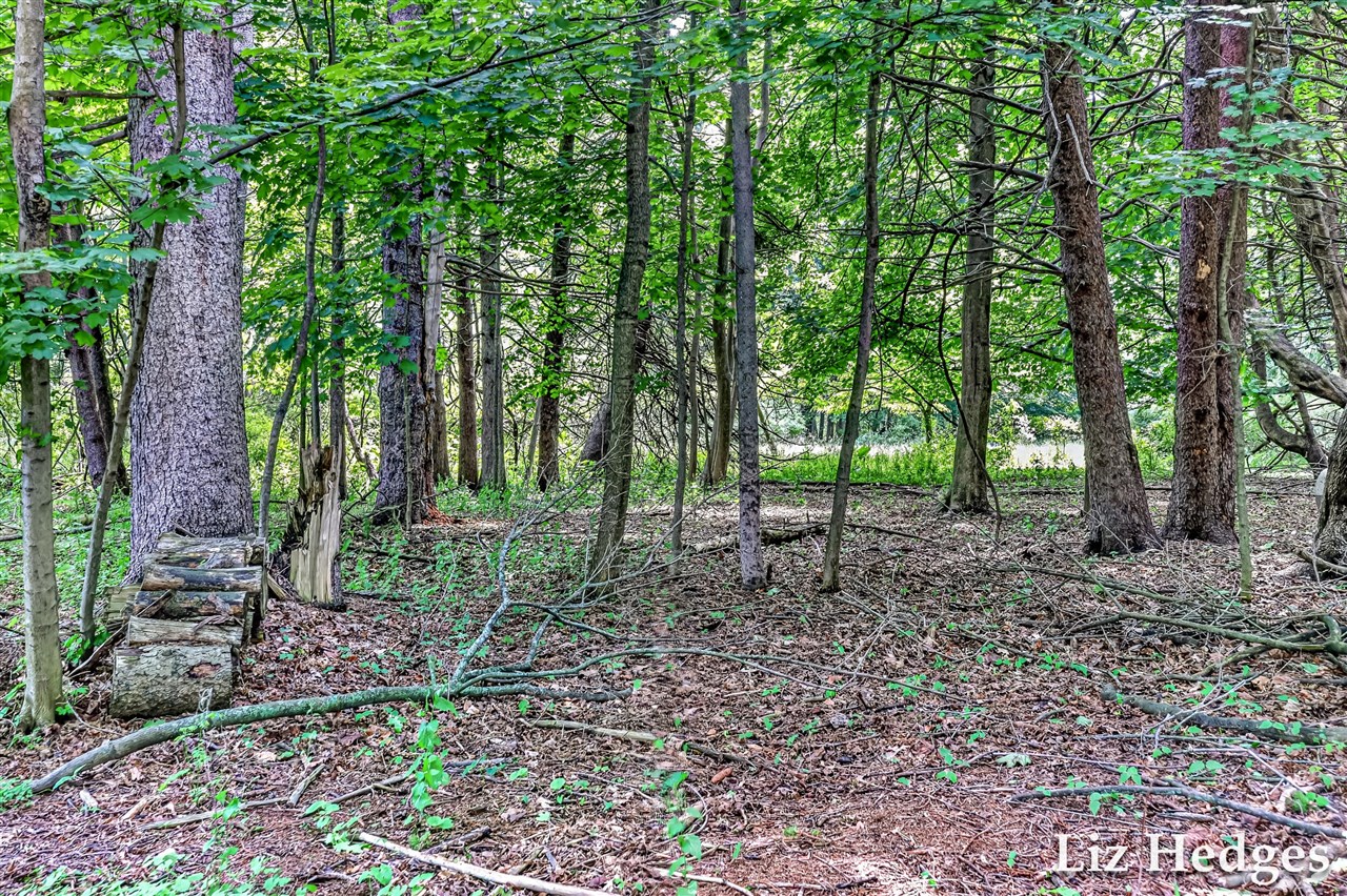 6285 S Shore Property Photo 45