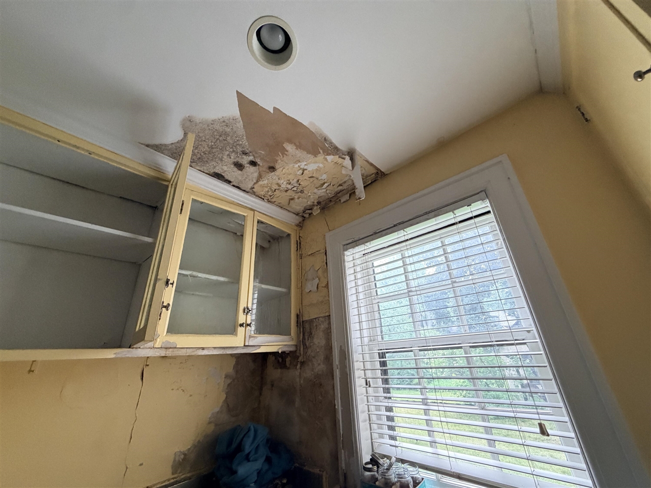 1441 Burns Street Property Photo 13