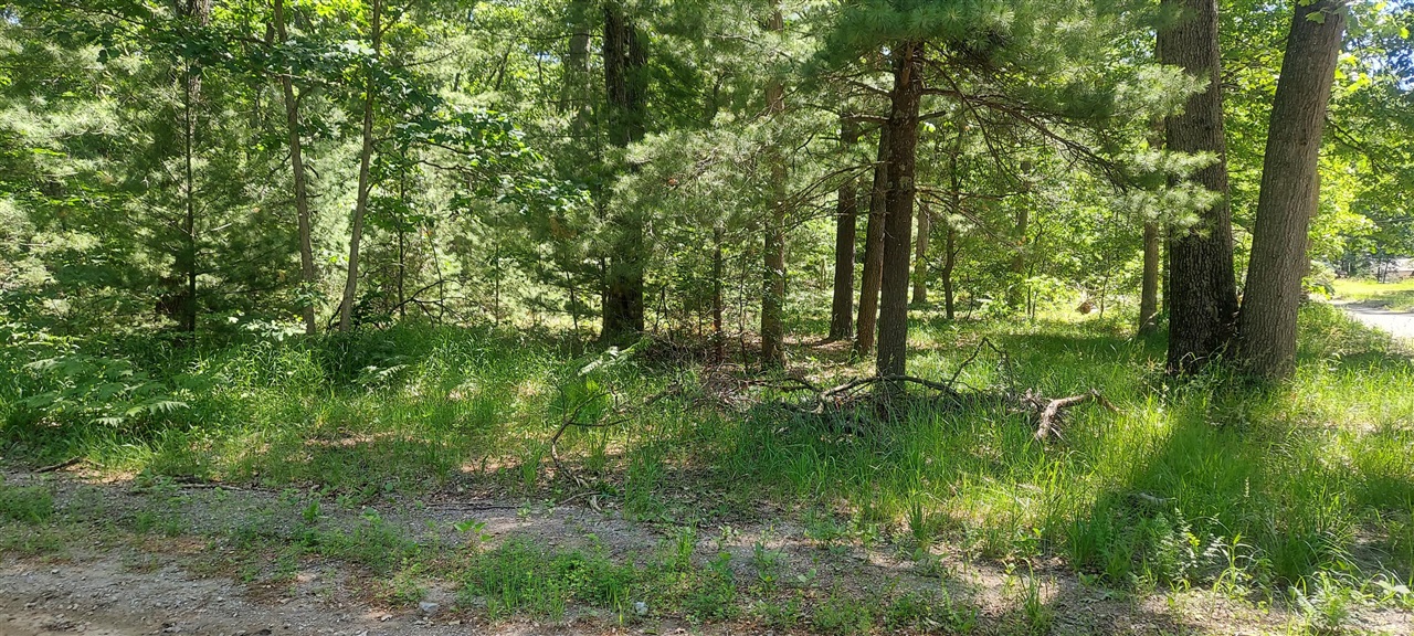 V/l Beverlyway Drive Property Photo 1